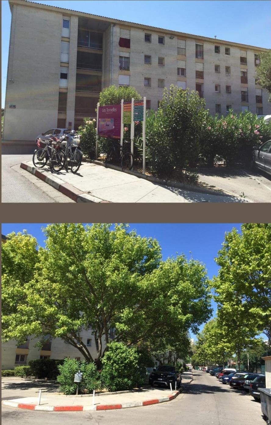 Studio 50M Tram Parking Gratuit 13Min Gare مونبيلييه المظهر الخارجي الصورة